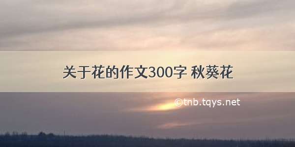 关于花的作文300字 秋葵花