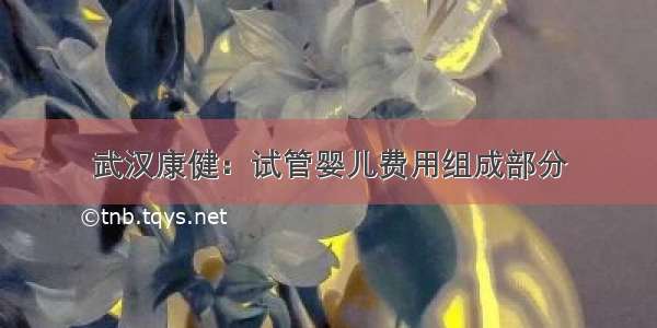 武汉康健：试管婴儿费用组成部分