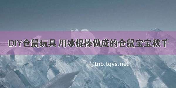 DIY仓鼠玩具 用冰棍棒做成的仓鼠宝宝秋千