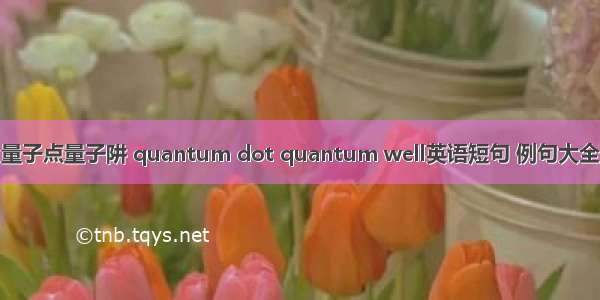 量子点量子阱 quantum dot quantum well英语短句 例句大全