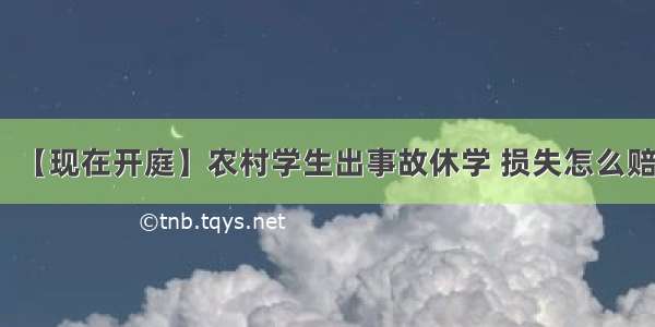 【现在开庭】农村学生出事故休学 损失怎么赔