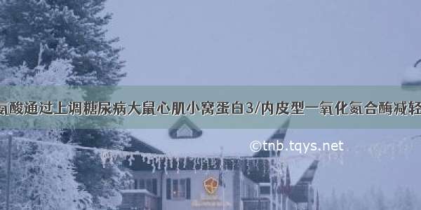 【论著】甘氨酸通过上调糖尿病大鼠心肌小窝蛋白3/内皮型一氧化氮合酶减轻氧化应激损伤