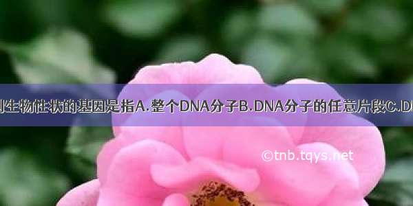 单选题控制生物性状的基因是指A.整个DNA分子B.DNA分子的任意片段C.DNA分子的