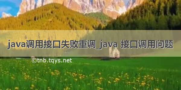 java调用接口失败重调_java 接口调用问题