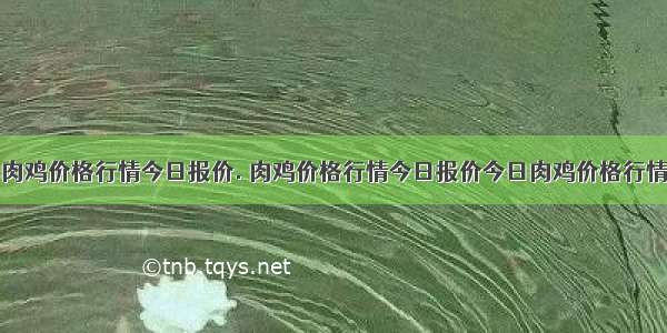 肉鸡价格行情今日报价. 肉鸡价格行情今日报价今日肉鸡价格行情