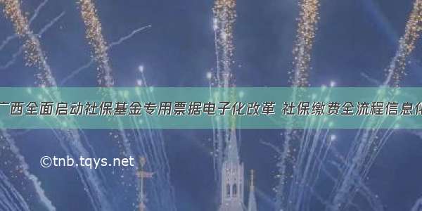 广西全面启动社保基金专用票据电子化改革 社保缴费全流程信息化