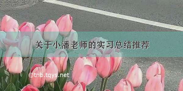 关于小潘老师的实习总结推荐