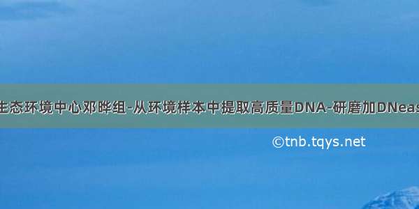 MPB：中科院生态环境中心邓晔组-从环境样本中提取高质量DNA-研磨加DNeasy试剂盒方法...