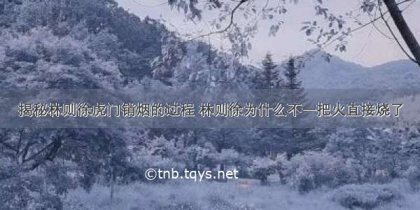 揭秘林则徐虎门销烟的过程 林则徐为什么不一把火直接烧了