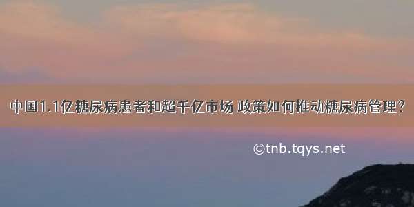 中国1.1亿糖尿病患者和超千亿市场 政策如何推动糖尿病管理？