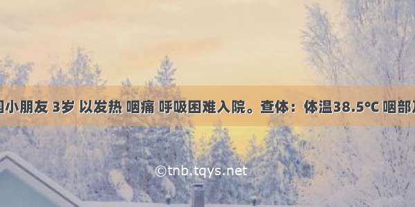 某幼儿园小朋友 3岁 以发热 咽痛 呼吸困难入院。查体：体温38.5℃ 咽部及扁桃体