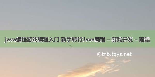 java编程游戏编程入门 新手转行Java编程 – 游戏开发 – 前端