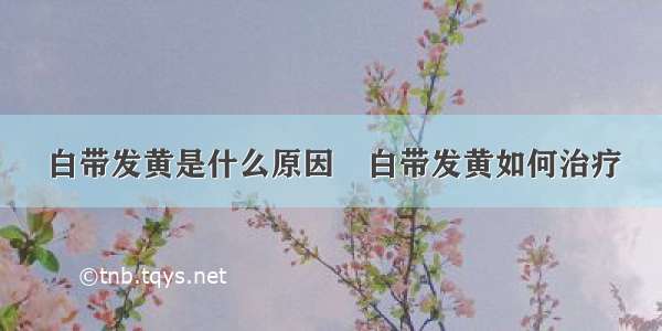 白带发黄是什么原因	白带发黄如何治疗