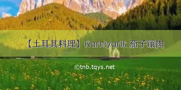 【土耳其料理】Karniyarik 茄子镶肉