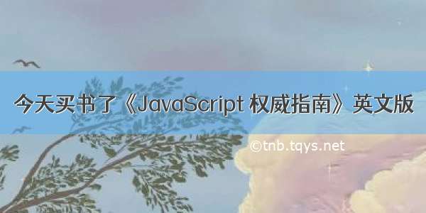 今天买书了《JavaScript 权威指南》英文版