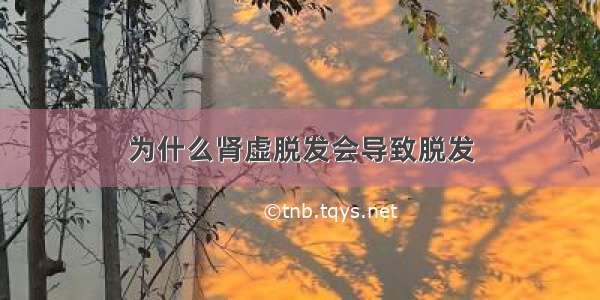 为什么肾虚脱发会导致脱发