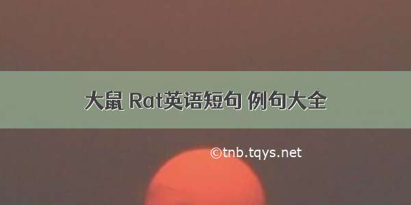 大鼠 Rat英语短句 例句大全