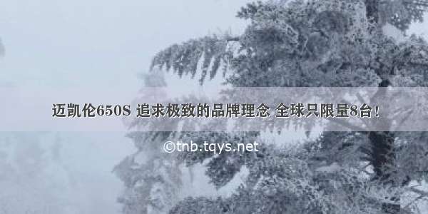 迈凯伦650S 追求极致的品牌理念 全球只限量8台！