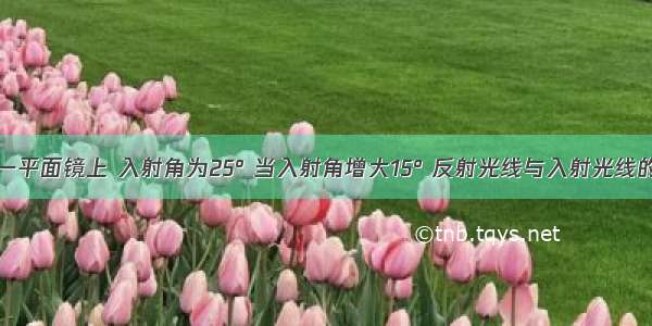 光线射到一平面镜上 入射角为25° 当入射角增大15° 反射光线与入射光线的夹角为A.