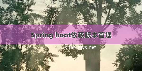 Spring boot依赖版本管理