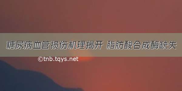 糖尿病血管损伤机理揭开 脂肪酸合成酶缺失