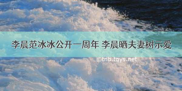 李晨范冰冰公开一周年 李晨晒夫妻树示爱