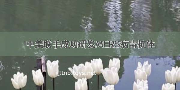 中美联手成功研发MERS病毒抗体