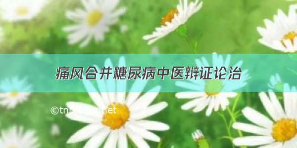 痛风合并糖尿病中医辩证论治