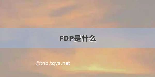 FDP是什么