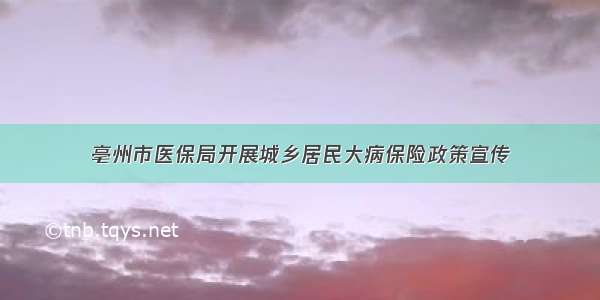 亳州市医保局开展城乡居民大病保险政策宣传