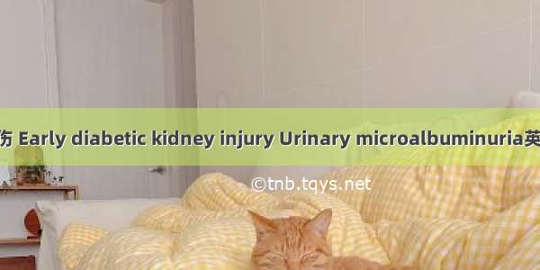 糖尿病早期肾损伤 Early diabetic kidney injury Urinary microalbuminuria英语短句 例句大全