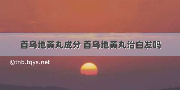 首乌地黄丸成分 首乌地黄丸治白发吗