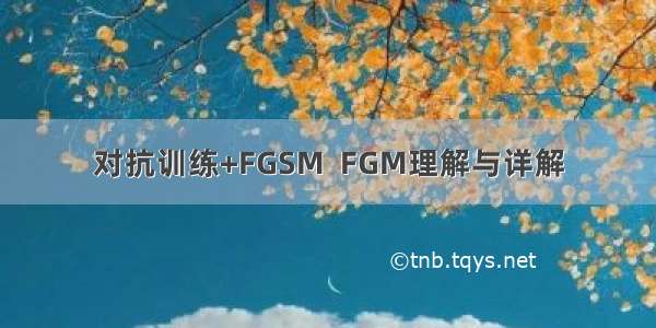 对抗训练+FGSM  FGM理解与详解