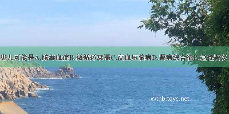 该患儿可能是A.脓毒血症B.微循环衰竭C.高血压脑病D.肾病综合征E.急性肾炎