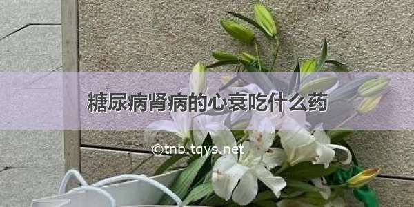 糖尿病肾病的心衰吃什么药