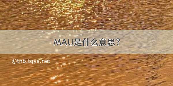 MAU是什么意思？