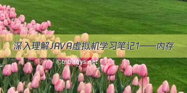 深入理解JAVA虚拟机学习笔记1——内存