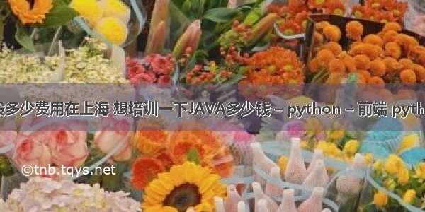 java培训一般多少费用在上海 想培训一下JAVA多少钱 – python – 前端 python 遍历列表