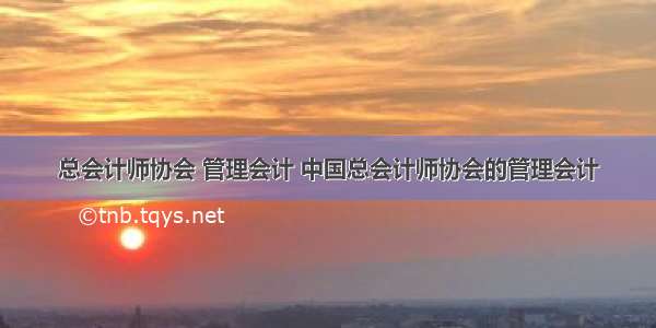 总会计师协会 管理会计 中国总会计师协会的管理会计