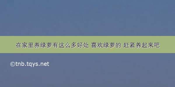 在家里养绿萝有这么多好处 喜欢绿萝的 赶紧养起来吧