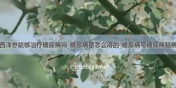 西洋参能够治疗糖尿病吗_糖尿病是怎么得的_糖尿病与糖尿病脑病