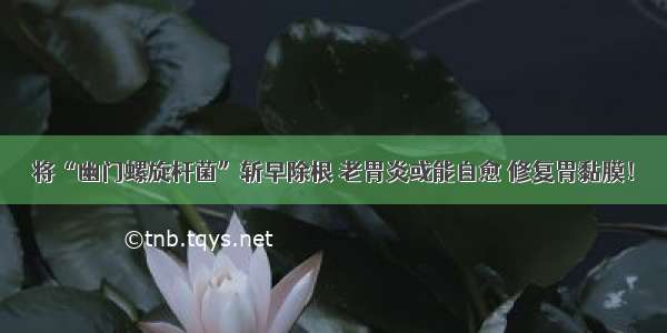 将“幽门螺旋杆菌”斩早除根 老胃炎或能自愈 修复胃黏膜！