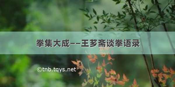 拳集大成——王芗斋谈拳语录