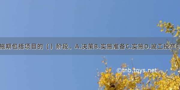 建设项目实施期包括项目的（　　）阶段。A.决策B.实施准备C.实施D.竣工投产E.项目后评价