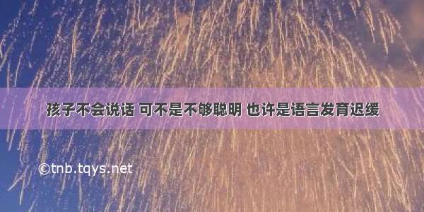 孩子不会说话 可不是不够聪明 也许是语言发育迟缓