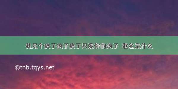 我是个疯子疯子疯子只爱你的疯子  歌名是什么