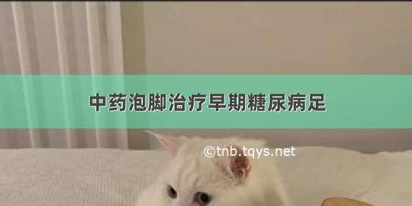 中药泡脚治疗早期糖尿病足