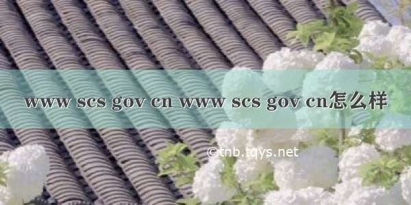 www scs gov cn www scs gov cn怎么样