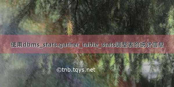 使用dbms_stats.gather_table_stats调整表的统计信息