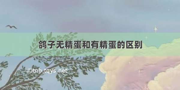 鸽子无精蛋和有精蛋的区别